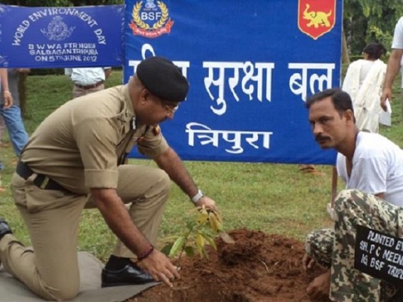BSF's 180,000 sapling green mission along India's frontiers BSF's 180,000 sapling green mission along India's frontiers